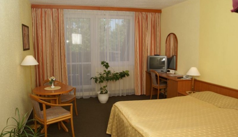 Lázeňský hotel PYRAMIDA I Františkovy Lázně - Dvoulůžkové pokoje bez balkonu